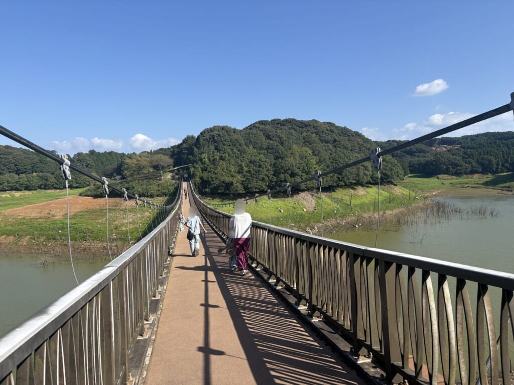 るるパークののんびり島の手前の吊り橋